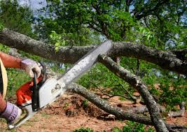 Mulching Services in Reliez Valley, CA